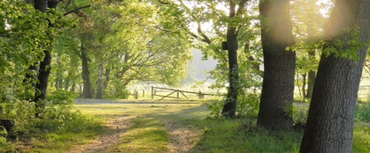ag natur5